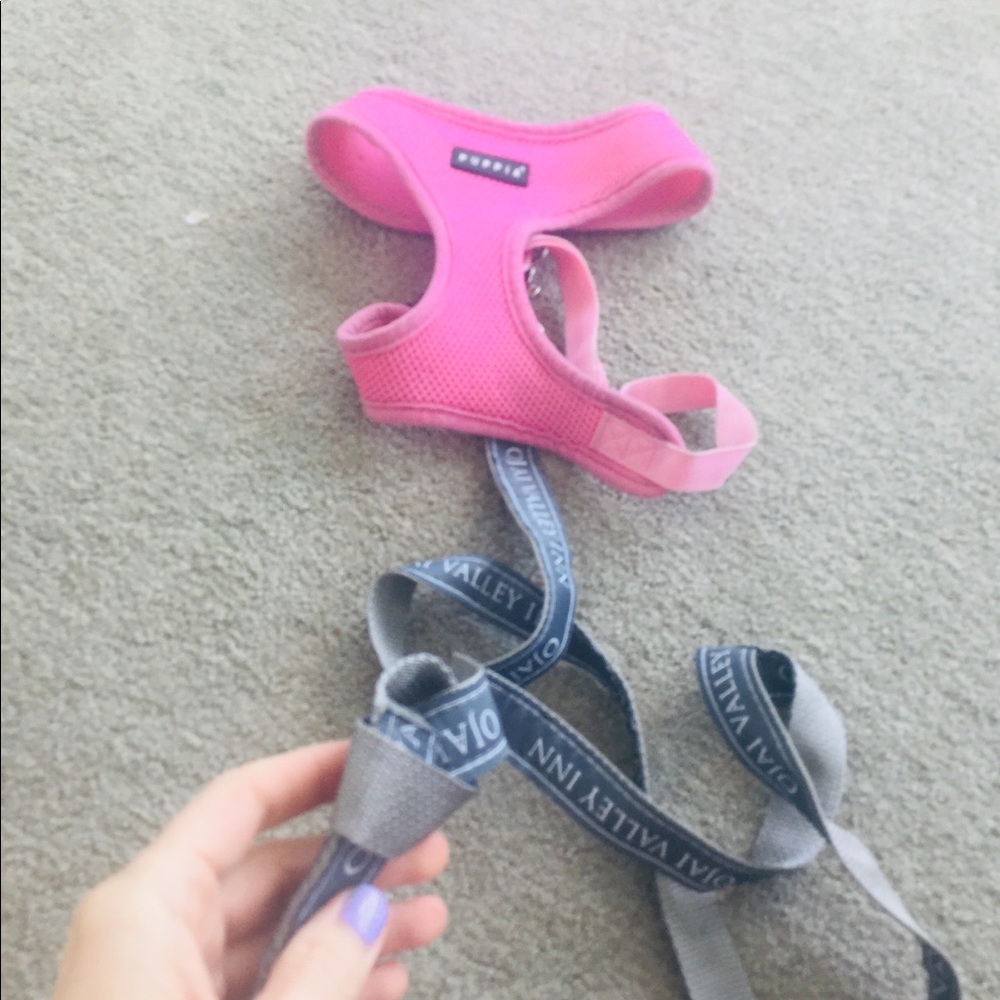 Harness and leash set